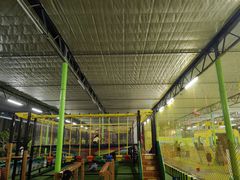 -南宫五洲植物乐园