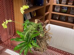 -二酉书店TOYOU BOOKS