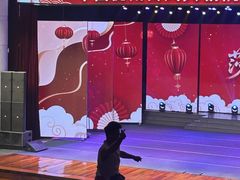 -南风大剧院莎梦二人转剧场