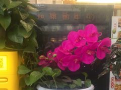 -花鸟鱼私家小厨(文殊院店)