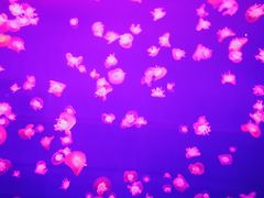 -多彩贵州城极地海洋世界