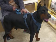 -美联众合动物医院·24h转诊中心