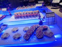 -亚马逊环球美食百汇(新城吾悦广场店)