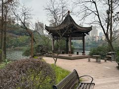 -重庆彩云湖湿地公园
