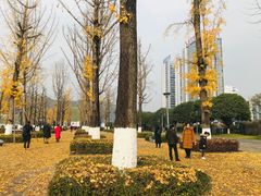 -百林公园-两江幸福广场