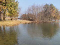 -贡湖湾湿地公园