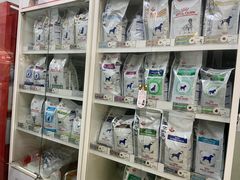 -成都民大动物医院