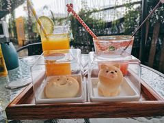 西柚苏打-柴犬高等学院·狗咖·柴犬售卖·宠物训练