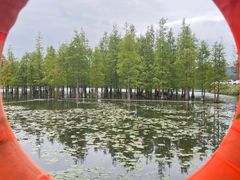 -白鹭湾湿地公园