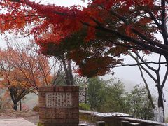 -莫干山风景区