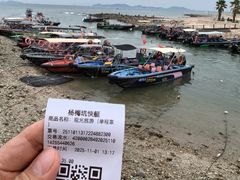 -杨梅坑
