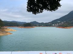 -广州市流溪河国家森林公园