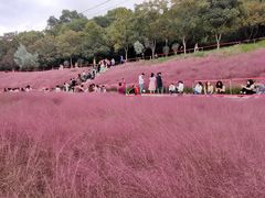 -牛岗山公园
