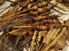 -金刚山烧烤(红旗大街店)