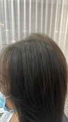 点击看大图 -木马造型