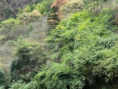 -楠溪江风景名胜区