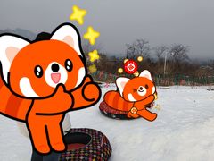 -北京凤凰岭