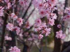 -堤角公园