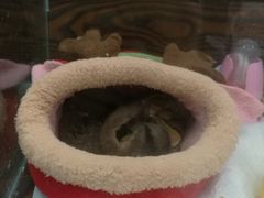 -乐宠宠物店(世纪金源店)