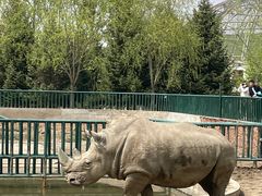 -哈尔滨北方森林动物园