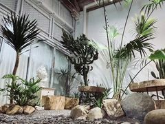 -腾爱熊猫咖啡生活馆(老东门店)