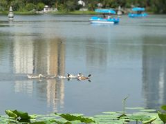 -武汉园博园(武汉自然博物馆)