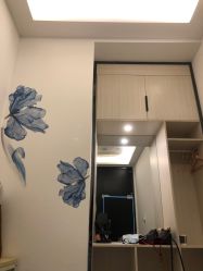 -DEM缔怡美科技美容