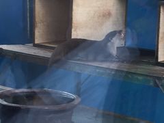 -无锡动物园·太湖欢乐园