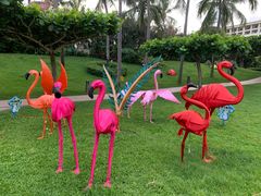 -三亚亚龙湾天域度假酒店