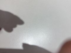 -大碗居·烤鸭·鱼头泡饼(天坛东门店)