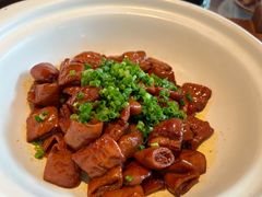 马仕金牌肥肠煲-马仕玖煲·融合菜·酥不腻烤鸭(人大店)