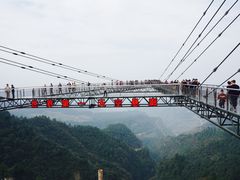 -梦幻奥陶纪景区