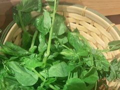 -渝味晓宇·重庆火锅(龙岗龙城万科里店)
