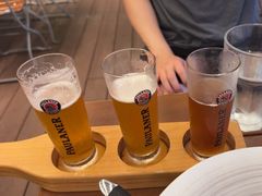 -Paulaner·德国帕拉娜自酿啤酒餐厅(海上世界店)
