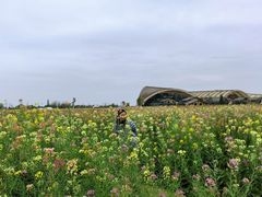 -中国天府农业博览园