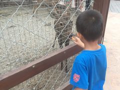 -家盒子文化有限公司