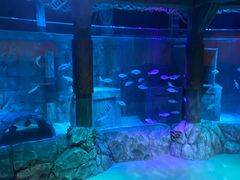 -沈阳海洋探索中心