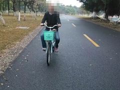 -松山湖南湖湾露营营地