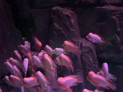 -蓬莱欧乐堡海洋极地世界