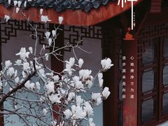 -堤角公园