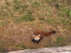 -青岛森林野生动物世界