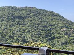 -三亚亚龙湾人间天堂鸟巢度假村