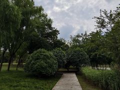 -长广溪湿地公园