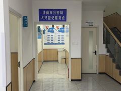 -瑞派雷欧宠物医院·24h夜诊·心脏骨科牙科·全科重症转诊中心(无影山店)