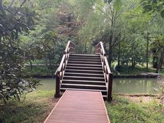 -同里国家湿地公园