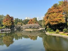 -晓港公园