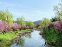 -石塘人家