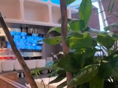 -桂满陇·蟹黄小笼汤包(清河万象店)