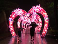 -东部华侨城