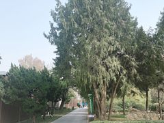 -黄村公园